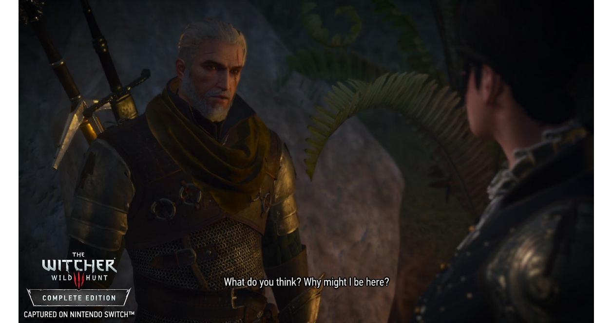 Game The Witcher Switch Release The Witcher 3: Wild Hunt