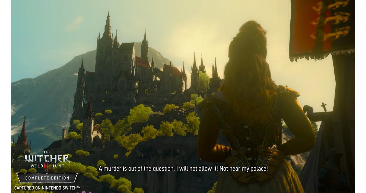 The Witcher III: Wild Hunt - Nintendo Switch