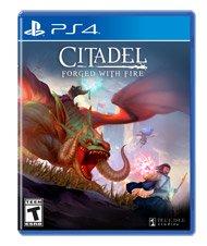 Citadel: Forged with Fire - PlayStation 4, PlayStation 4