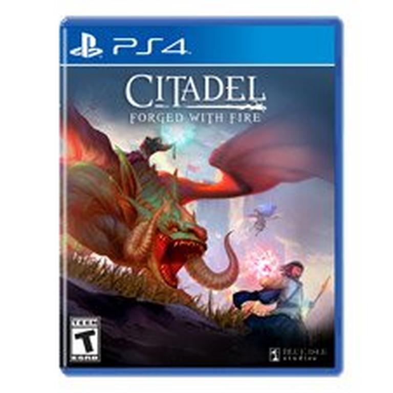 Citadel: Forged with Fire - PlayStation 4, PlayStation 4