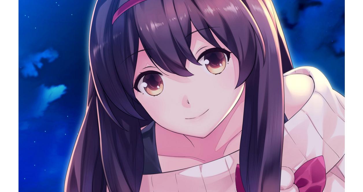 【新品未開封】GUN GUN PIXIES（ガンガンピクシーズ）【switch】 Amazon.com: Gun Gun Pixies - Nintendo Switch : U&i