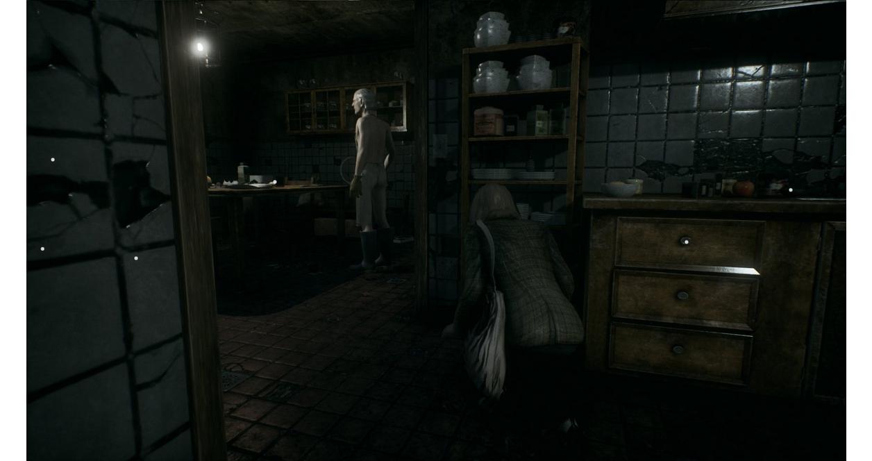 Remothered: Tormented Fathers - PlayStation 4