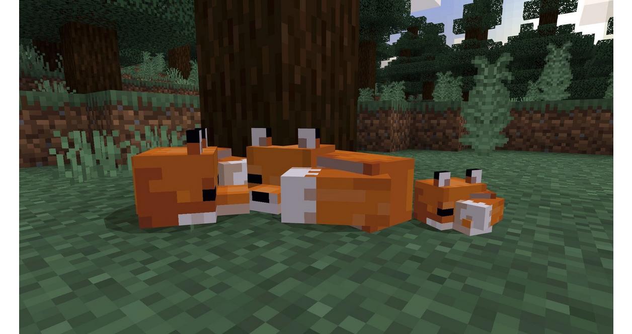その他 Minecraft Starter Collection Amazon.com: Minecraft Starter Collection - PlayStation 4