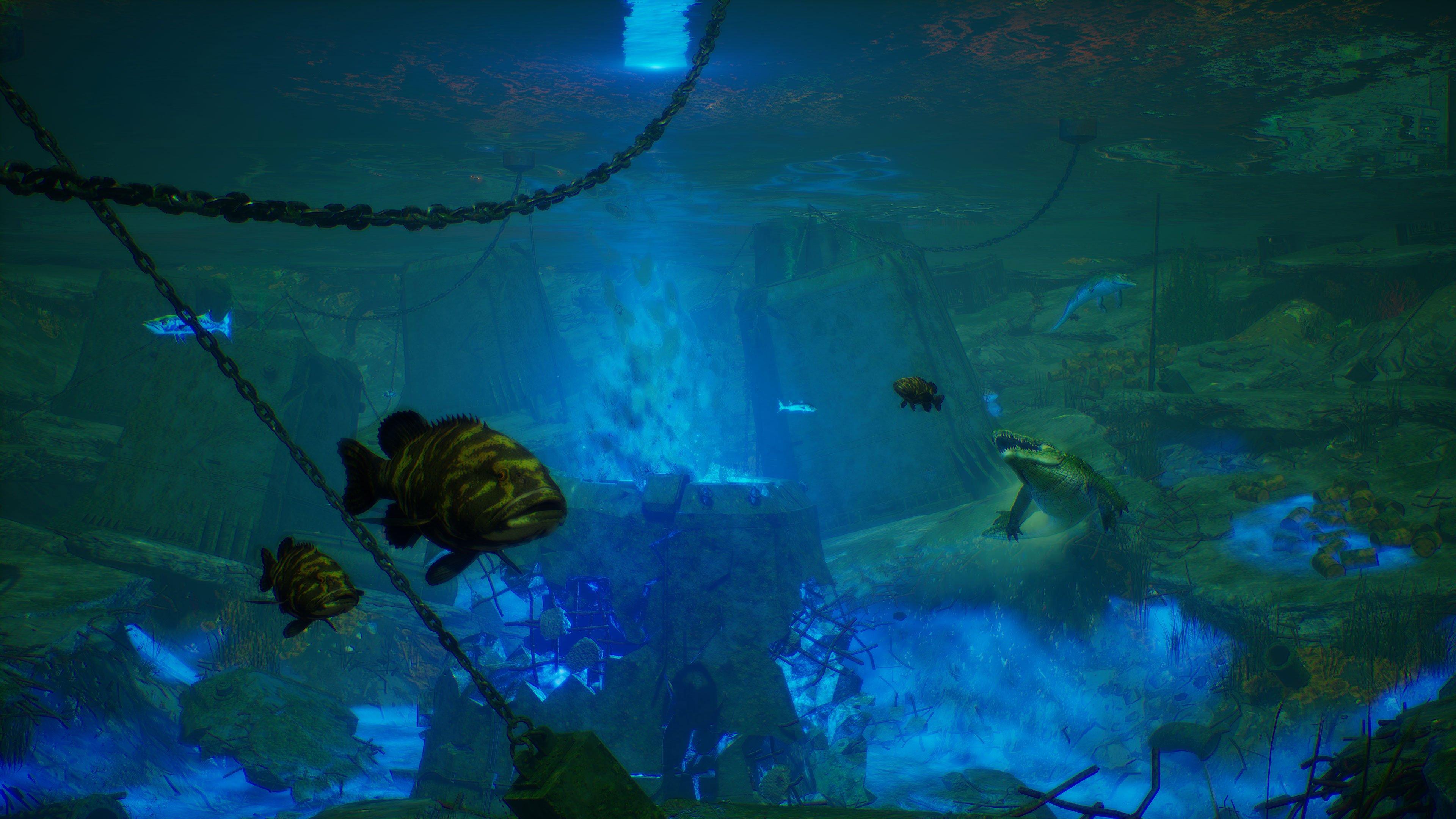 Maneater - Nintendo Switch