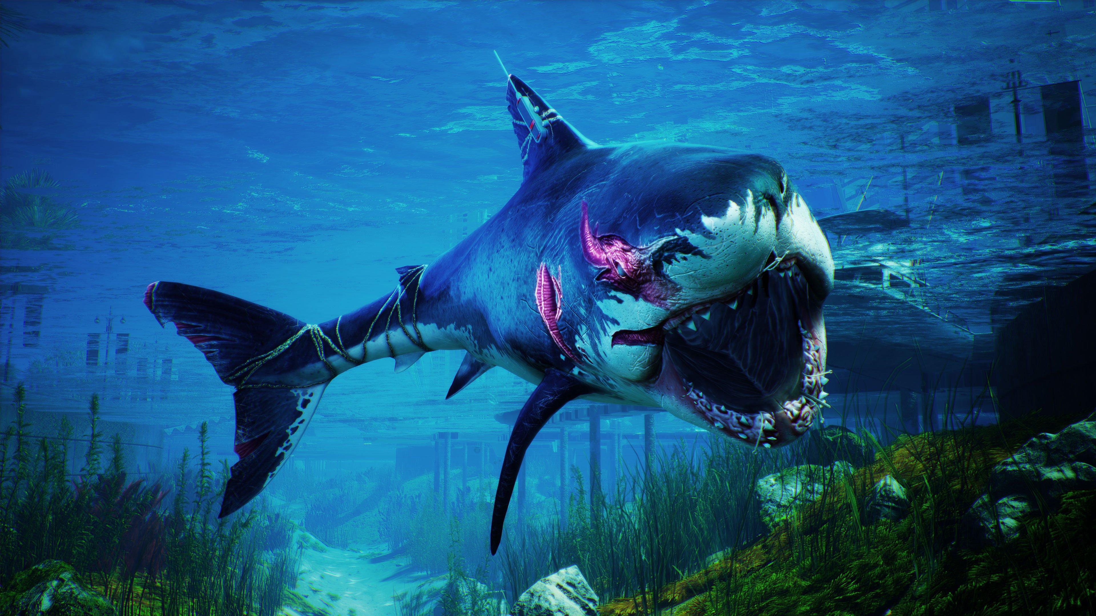 MAN EATER PS4 NEW! JAWS SHARK ATTACK OPEN WORLD ACTION RPG, HUNT, BOUNTY  BATTLE