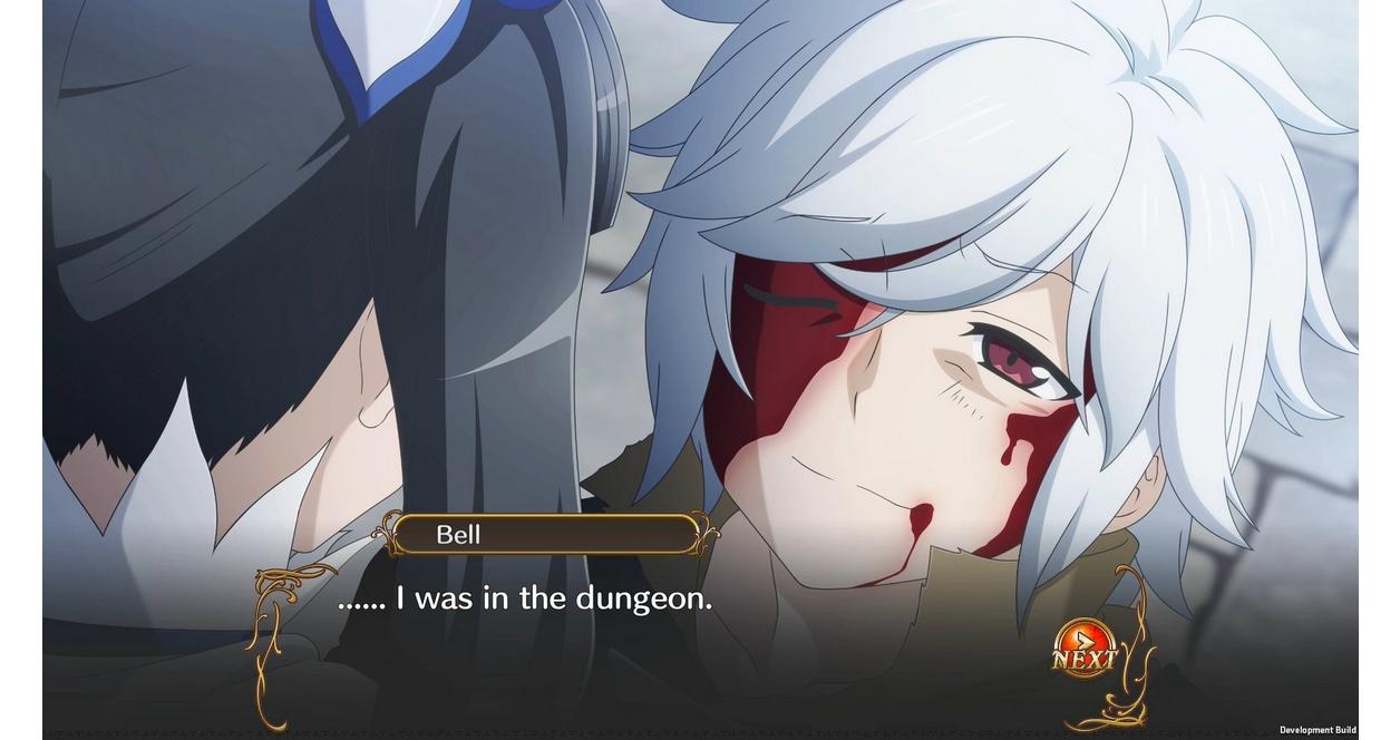 Is It Wrong to Try to Pick Up Girls in a Dungeon? Infinite Combate - PlayStation 4