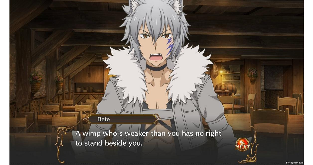 Is It Wrong to Try to Pick Up Girls in a Dungeon? Infinite Combate - Nintendo Switch