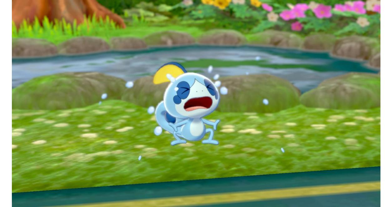 Pokemon Sword Expansion Pass/Pokemon Shield Expansion Pass