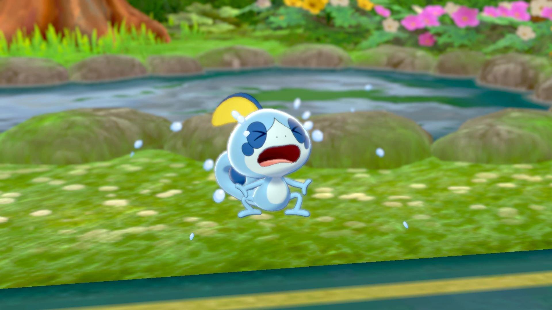 Pokemon Sword Plus Expansion Pass - Nintendo Switch