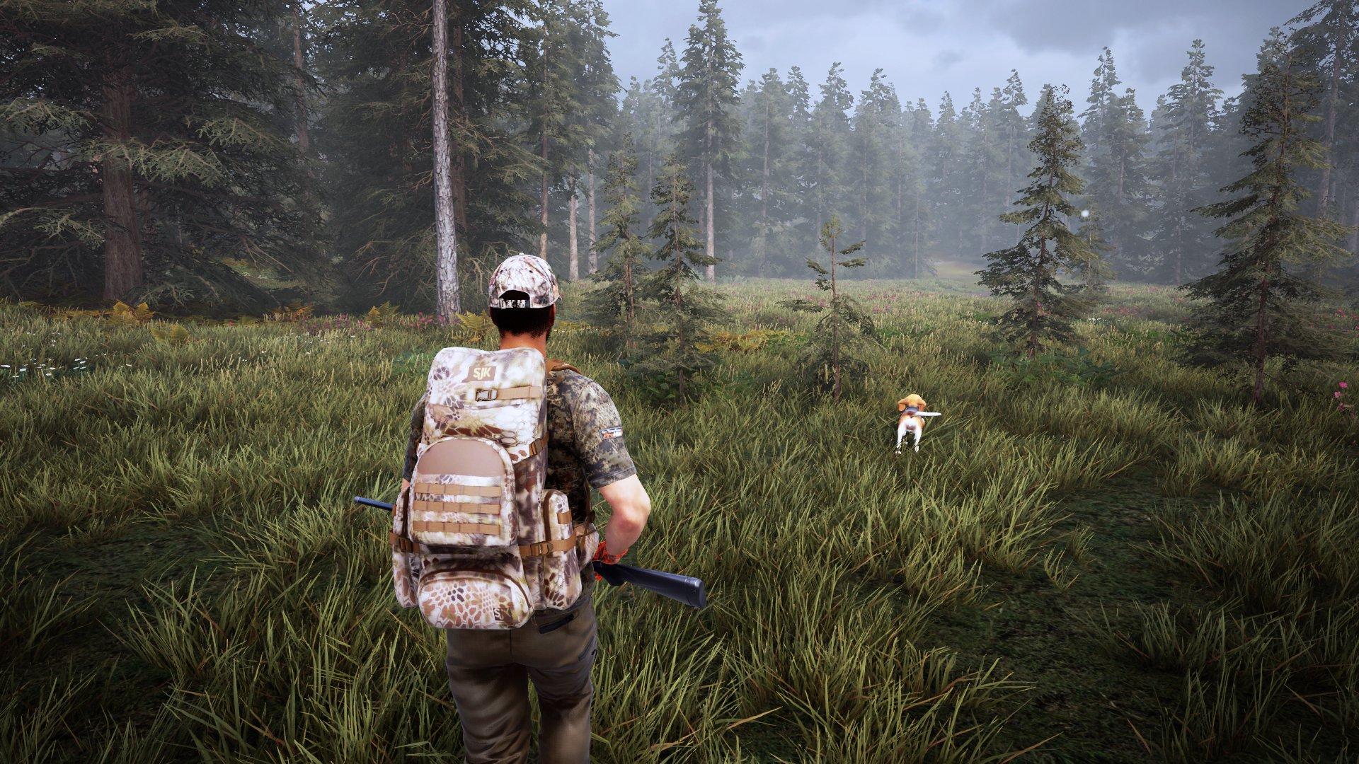 Hunting simulator 2 системные требования