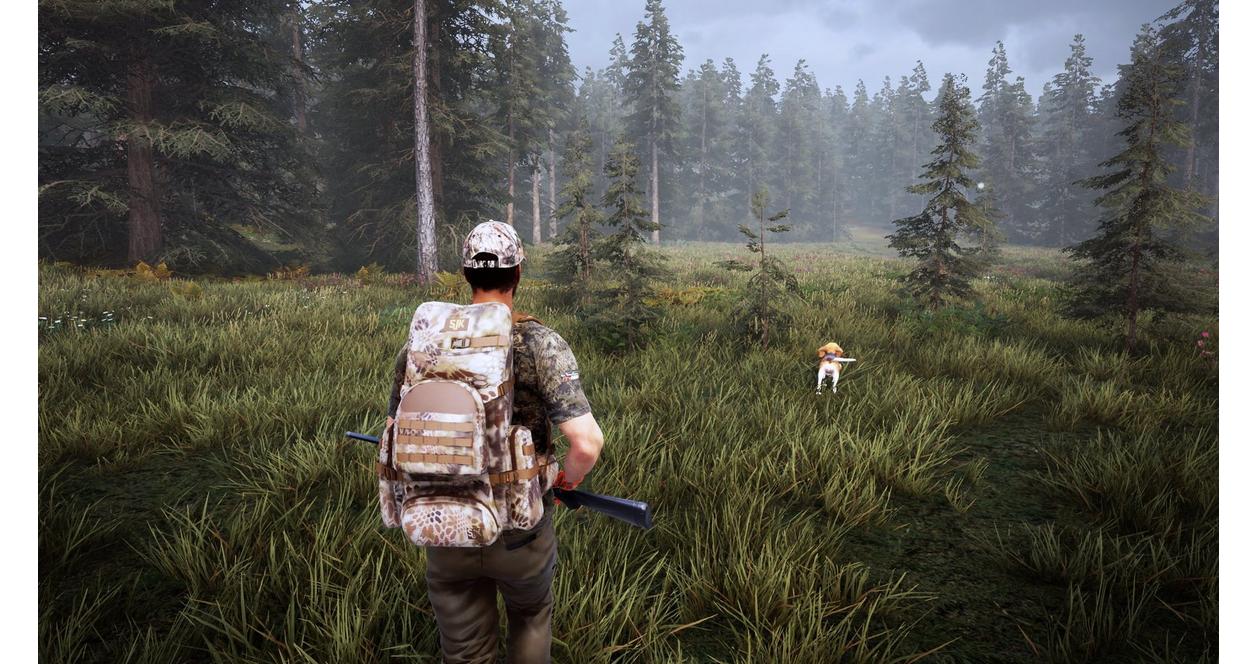 Hunting Simulator Nacon GameStop