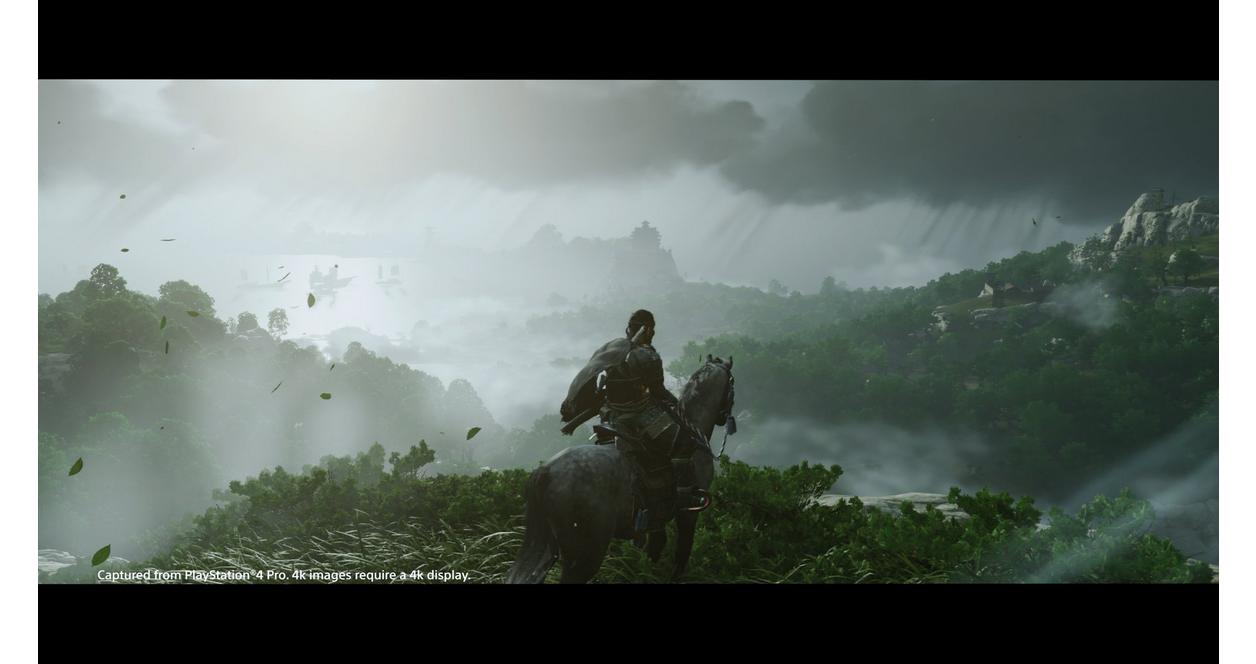 Ghost of Tsushima Director's Cut - PC Steam