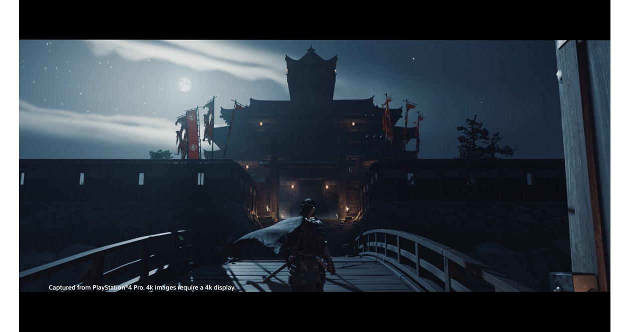 Ghost of Tsushima Director's Cut - PC Steam