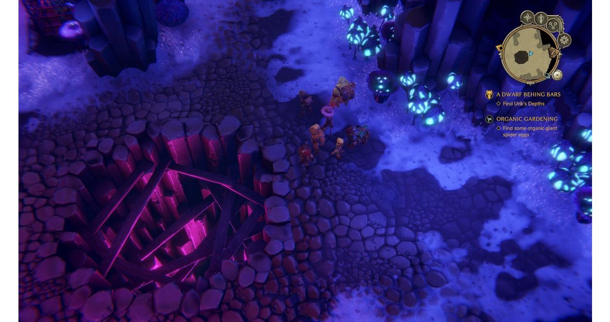 The Dungeon of Naheulbeuk: The Amulet of Chaos Chicken Edition - Nintendo Switch