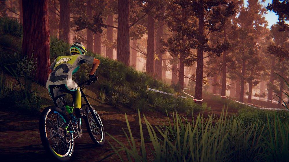 Descenders switch on sale