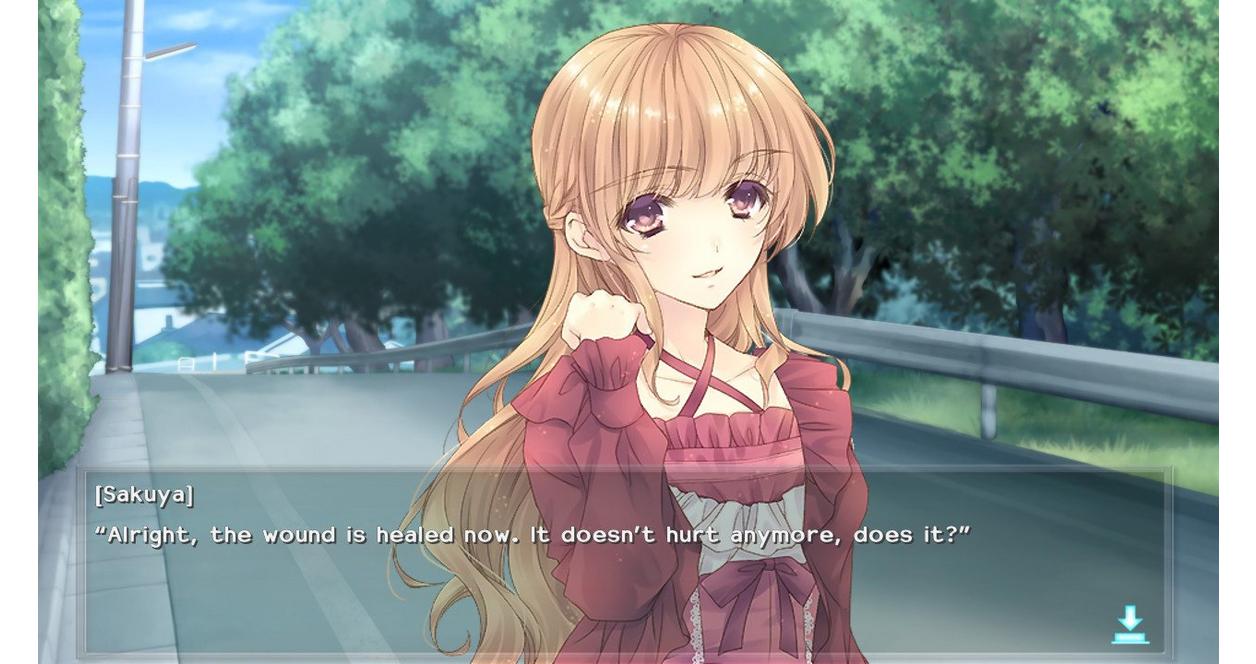 Nurse Love Obsession - Nintendo Switch