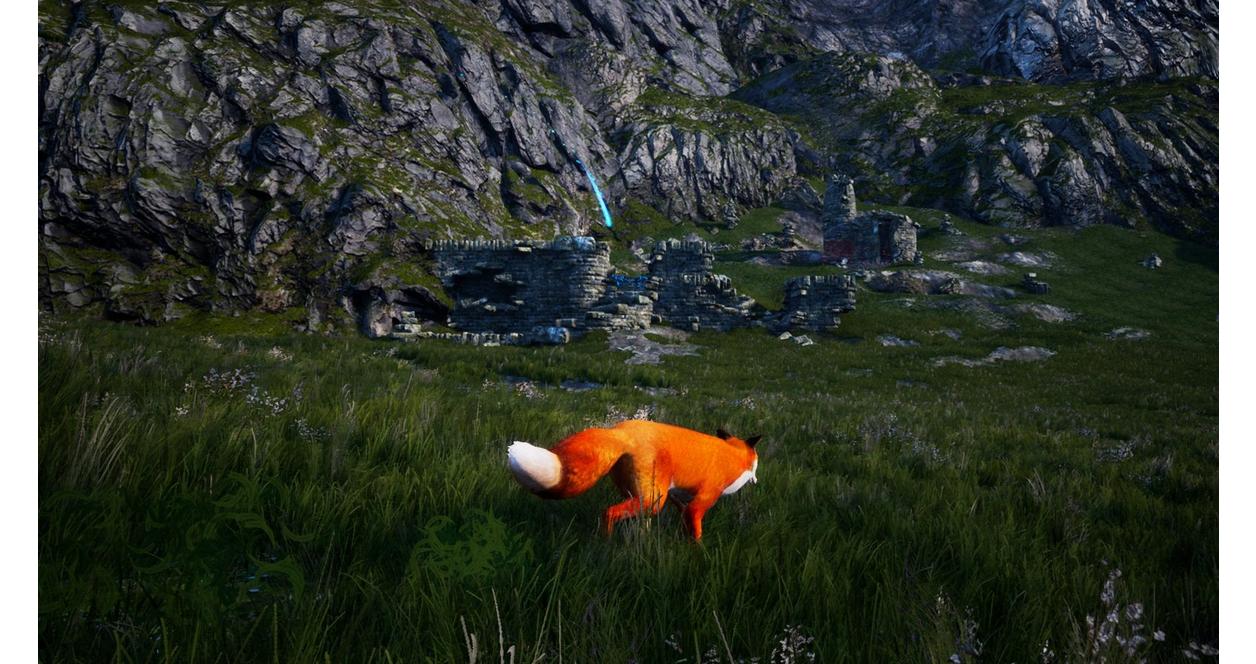 Spirit of the North - PlayStation 4