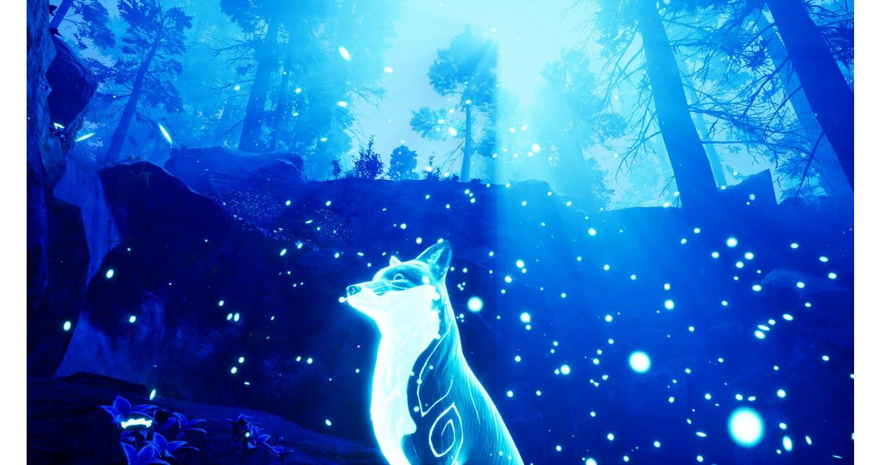 Spirit of the North - PlayStation 4