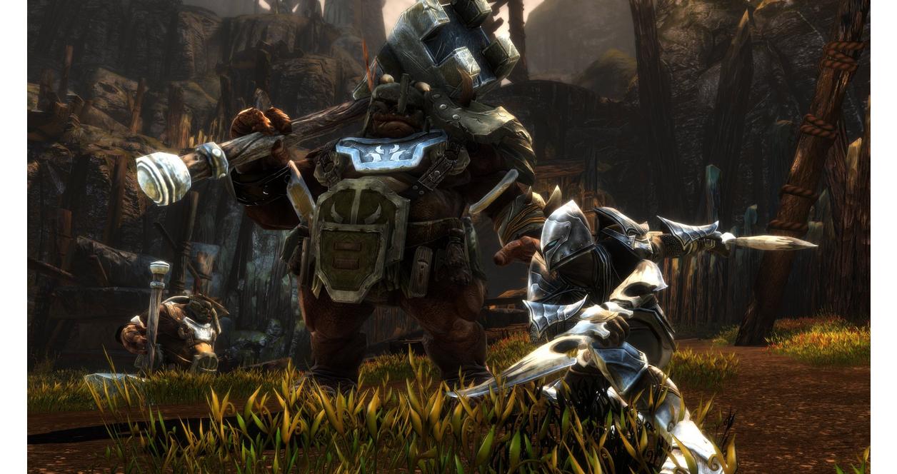 Kingdoms of Amalur　Reckoning Kingdoms of Amalur: Re-Reckoning - Xbox One | THQ Nordic