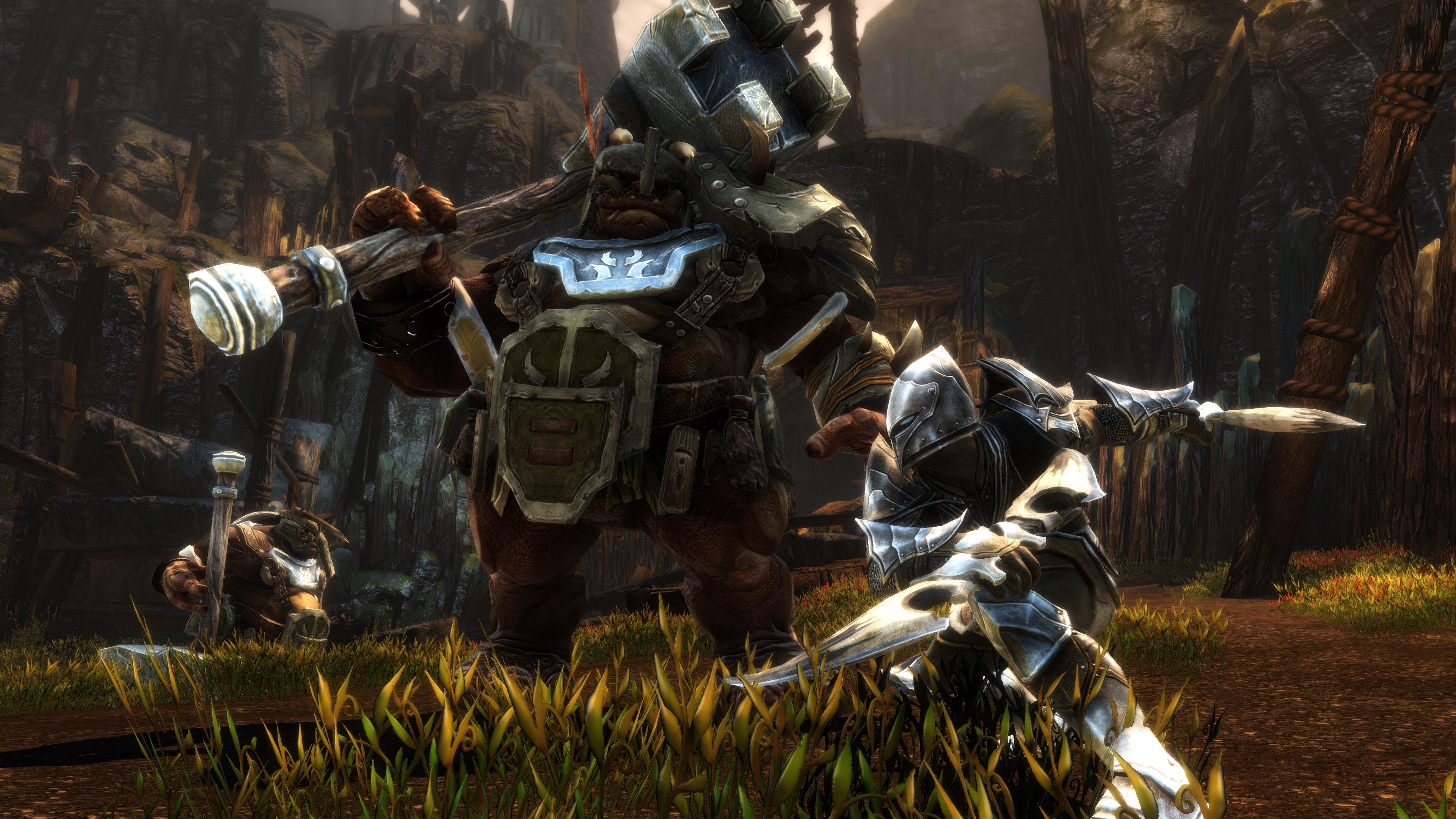 Kingdoms of Amalur: Re-Reckoning - PlayStation 4 | PlayStation 4