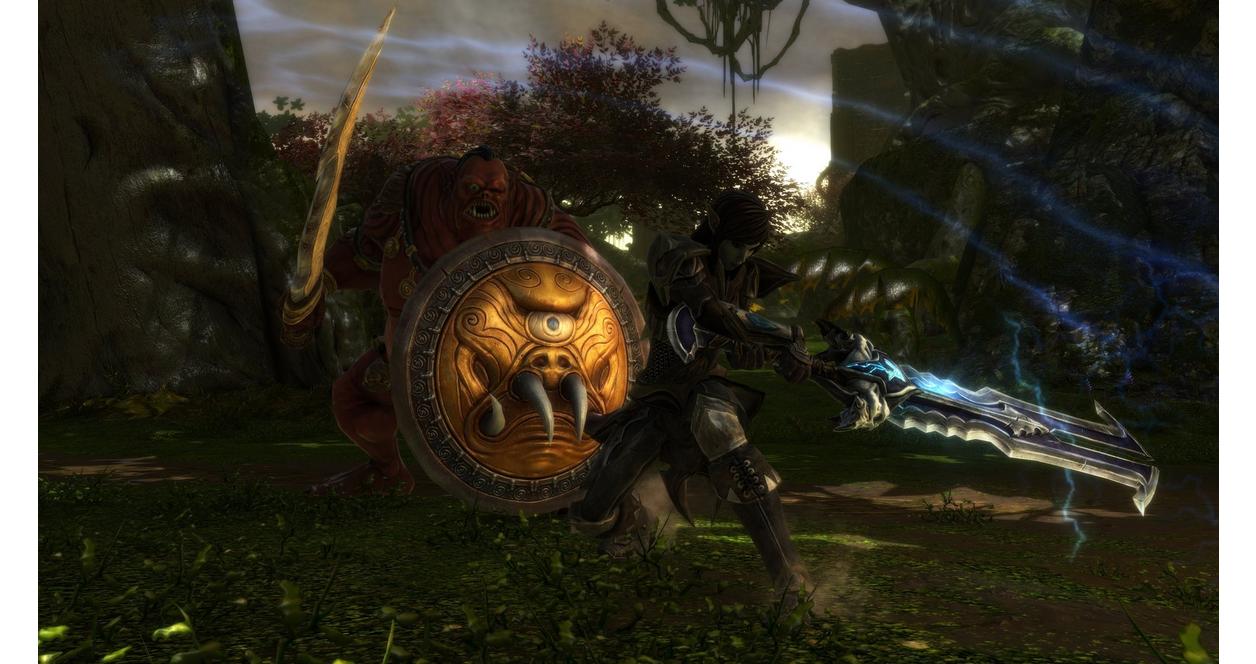 Kingdoms of Amalur　Reckoning Kingdoms of Amalur: Re-Reckoning - Collector's Edition