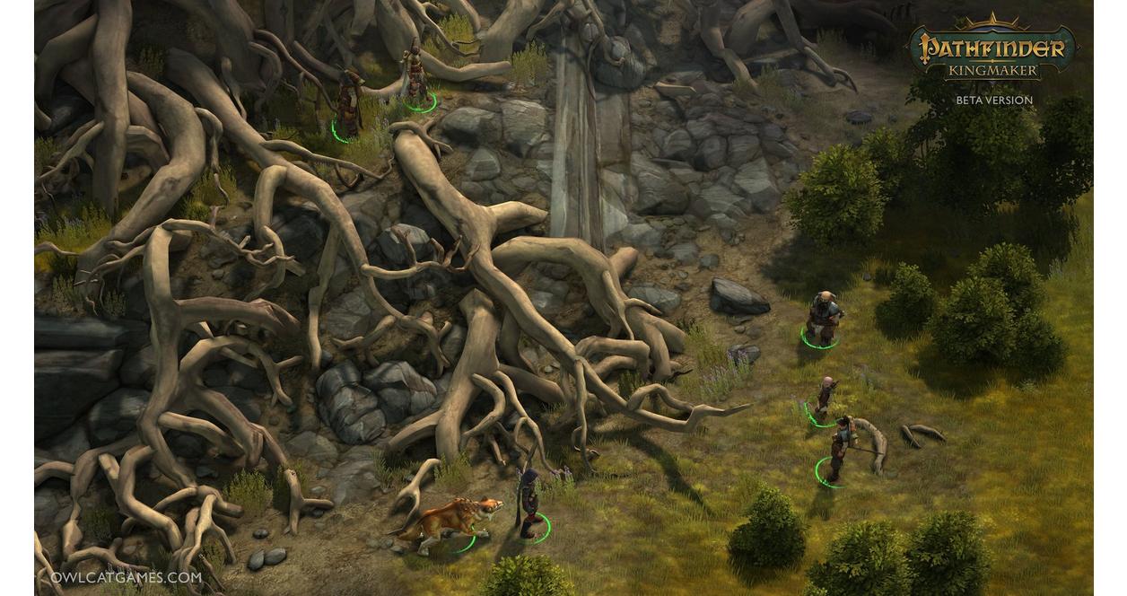 Pathfinder: Kingmaker Definitive Edition - Xbox One