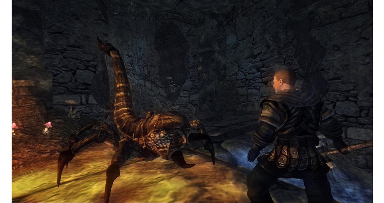 Risen - PC