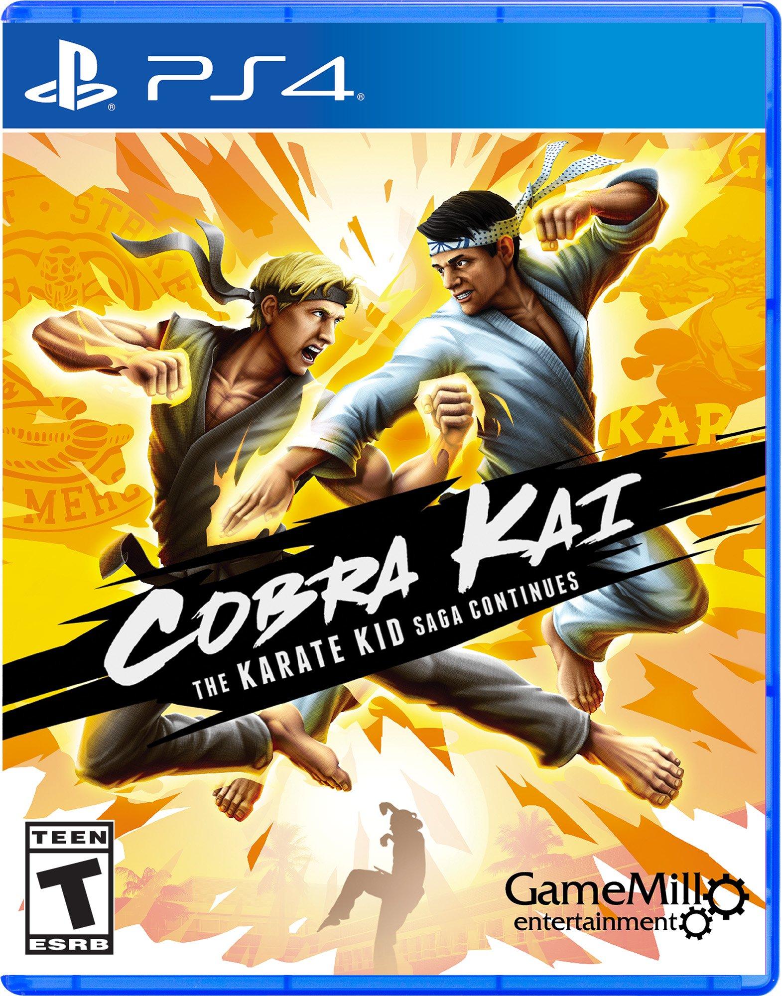Cobra Kai The Karate Kid Saga Continues PlayStation 4 GameStop