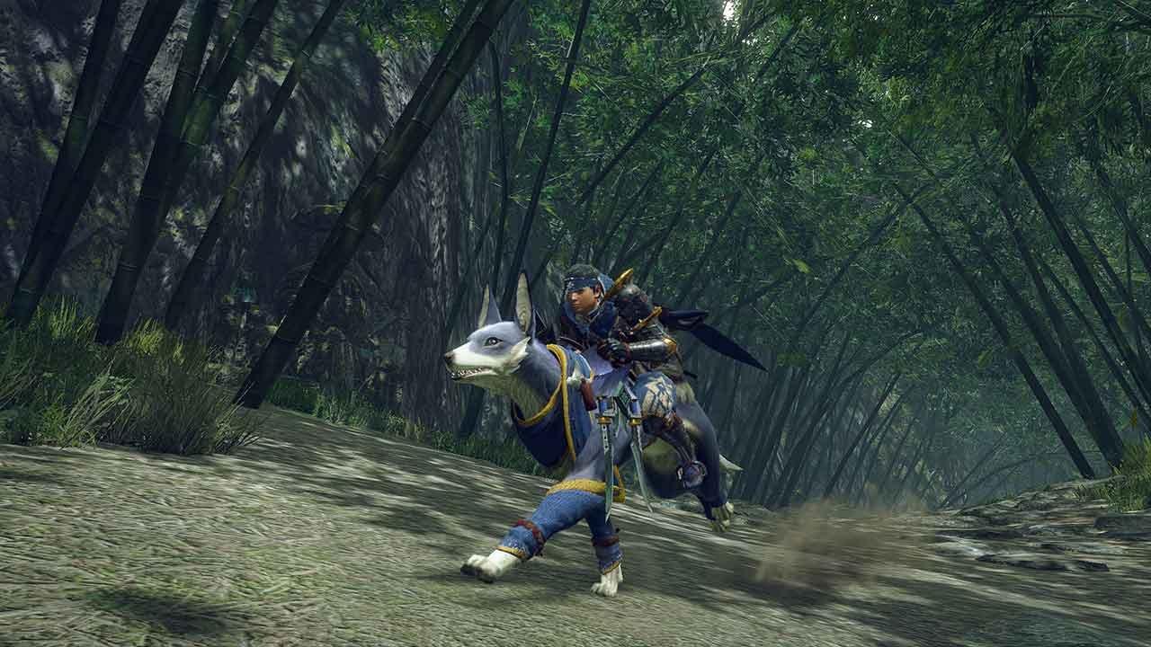 あつまれ どうぶつの森 & MONSTER HUNTER RISE 11108988_SCR01.jpg
