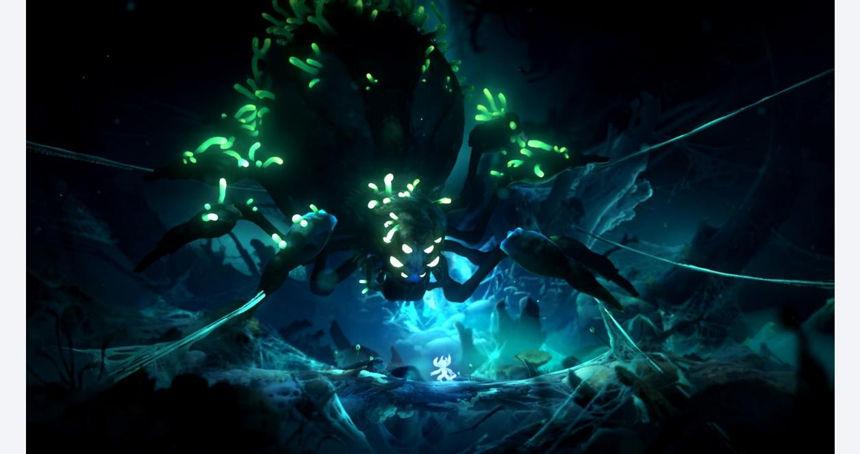 Ori and the Will of the Wisps - Nintendo Switch | Nintendo Switch 