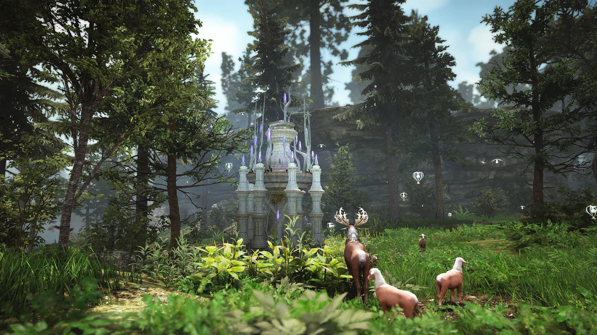 Black Desert Prestige Edition - Xbox One