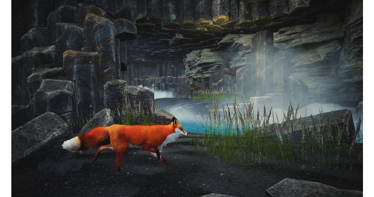 Spirit of the North - PlayStation 5