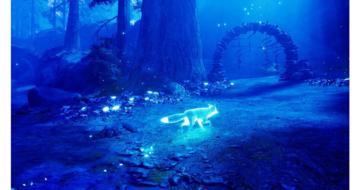 Spirit of the North - PlayStation 5