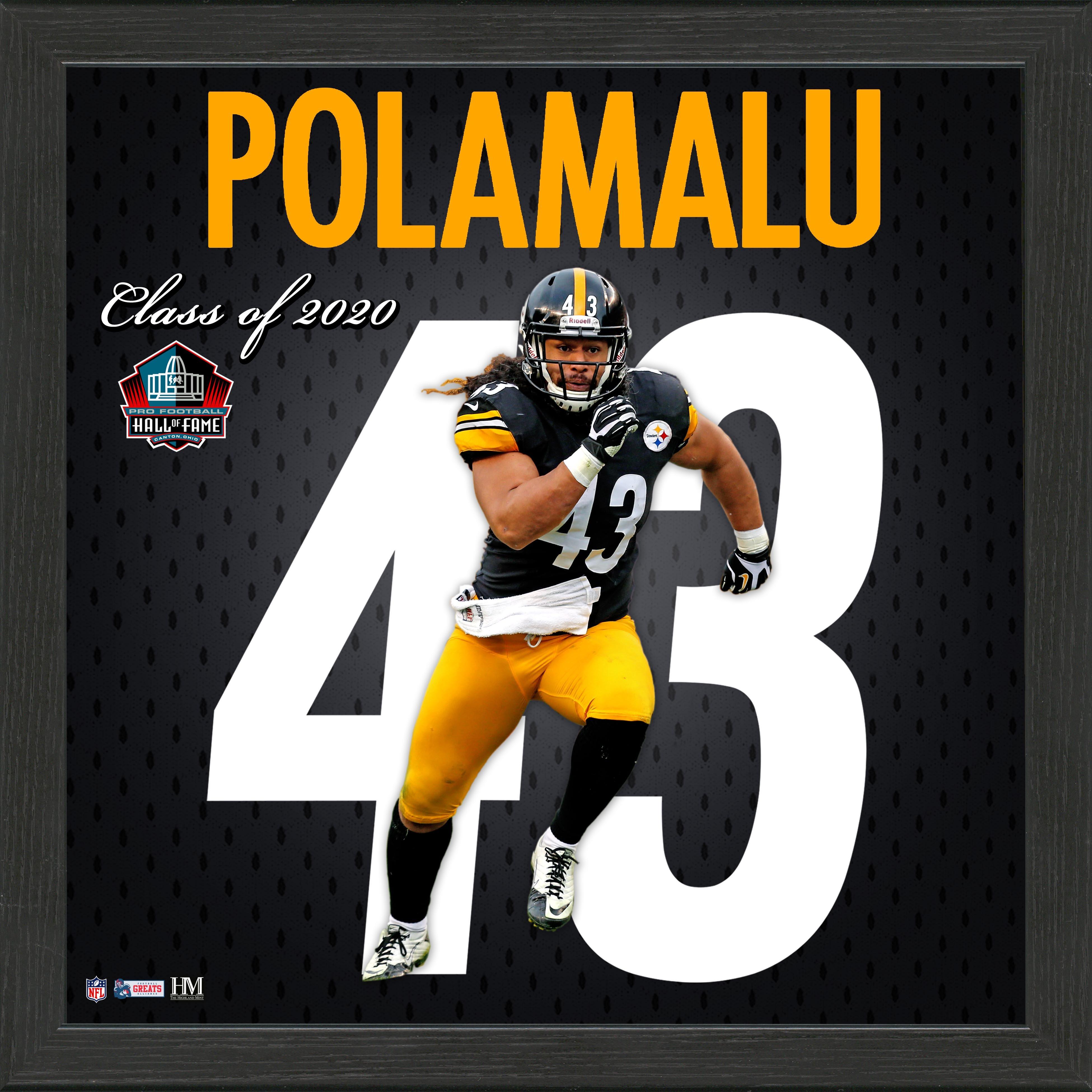 women troy polamalu jersey