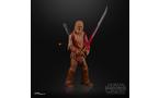 Hasbro Star Wars: The Black Series Knights of the Old Republic Zaalbar 6-in Action Figure GameStop Exclusive