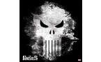 Skinit Punisher Long Skull Skin Bundle for PlayStation 4