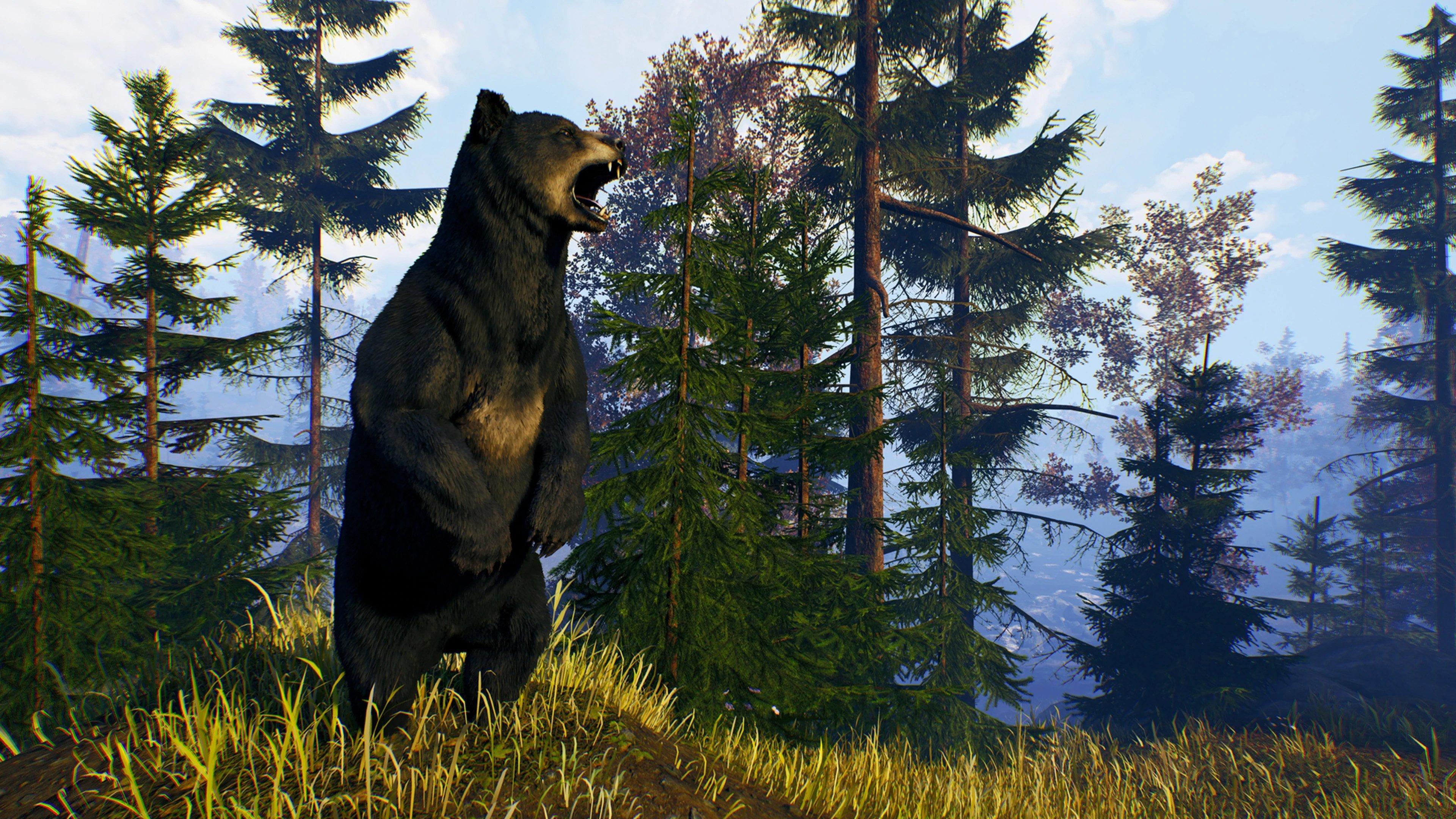 Open Country - PlayStation 4