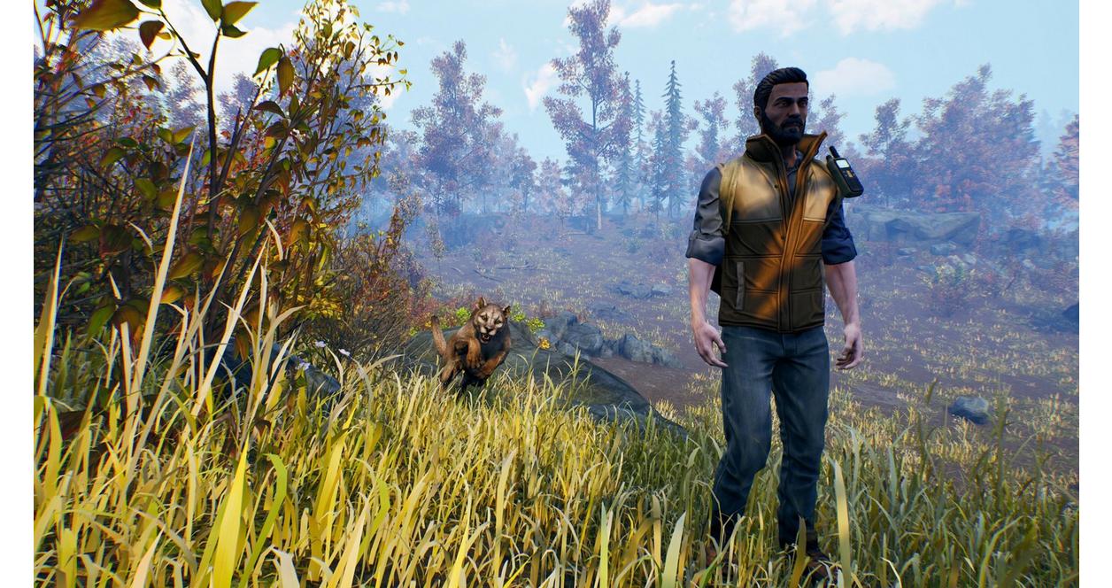 Open Country - PlayStation 4