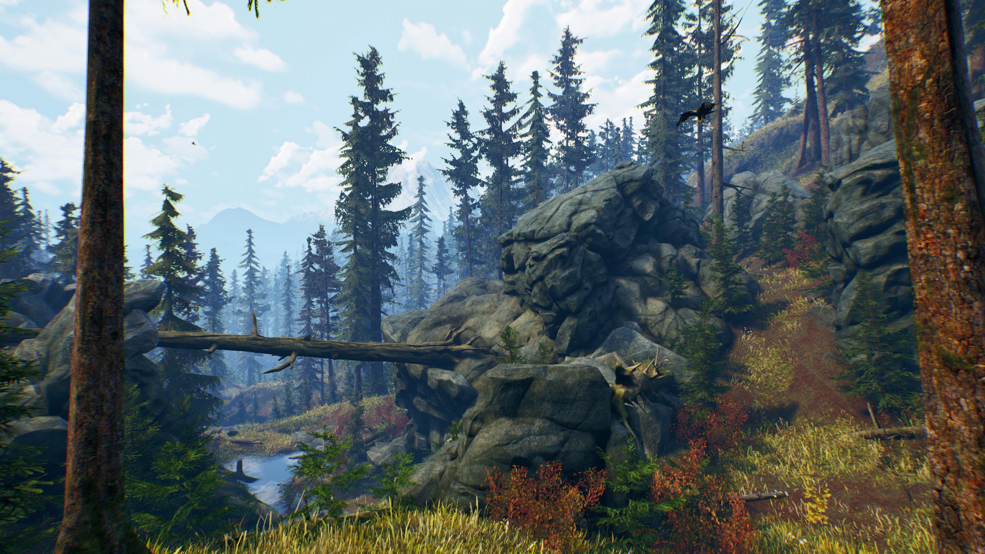 Open Country PlayStation 4