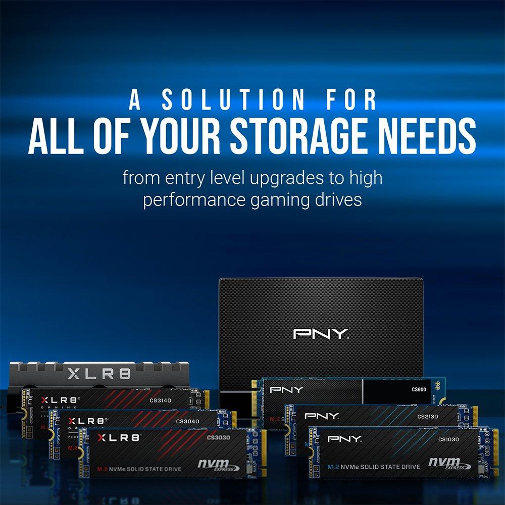 PNY CS900 960 GB Solid State Drive SSD7CS900-960-RB