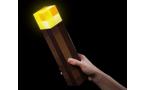 Minecraft Torch Mood Light