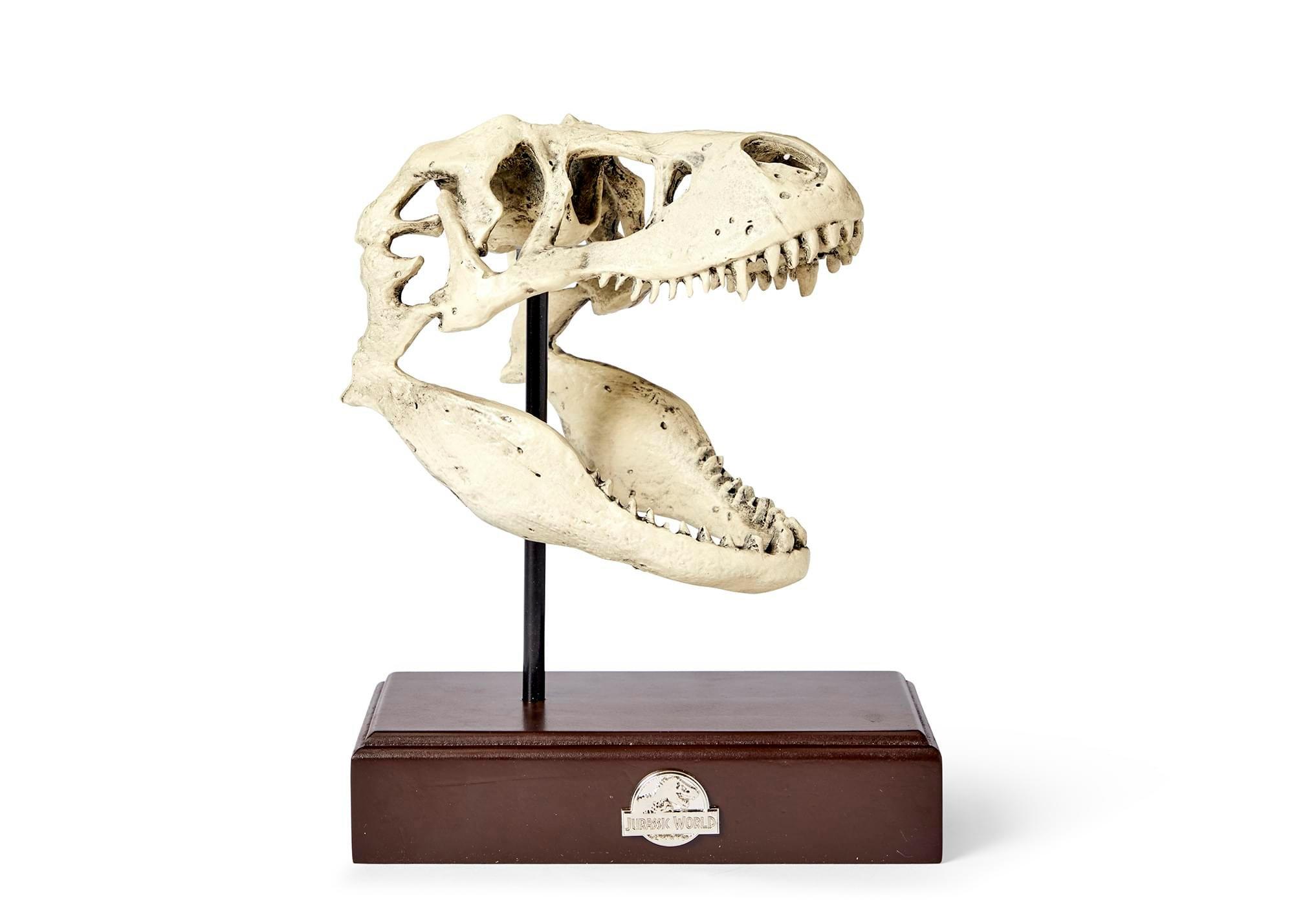 Toynk Jurassic World Tyrannosaurus Rex Skull Resin Replica 9-in Statue