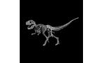List of Dinosaur Species Tyrannosaurus Rex Skeleton Word Art  Large Tote Bag