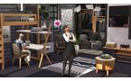 The Sims 4: Dream Home Decorator Game Pack