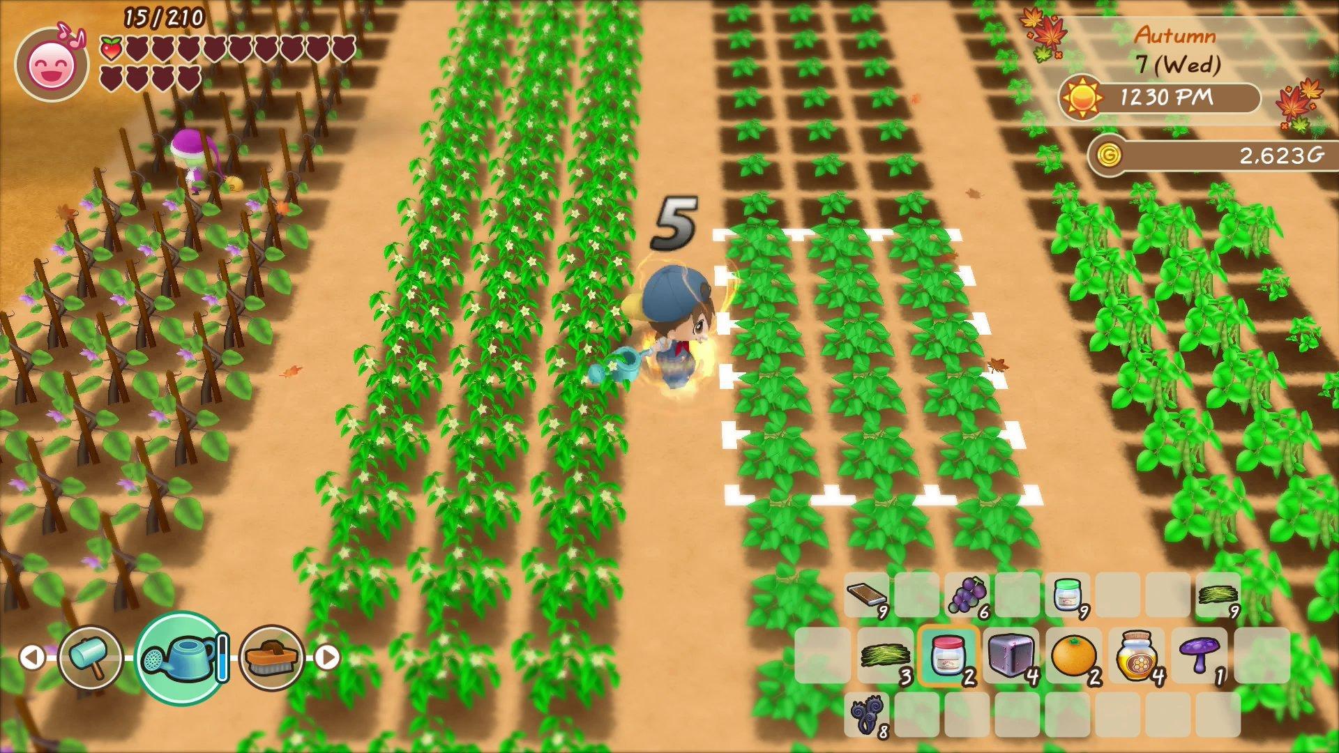 STORY OF SEASONS: Friends of Mineral Town - Xbox Series X