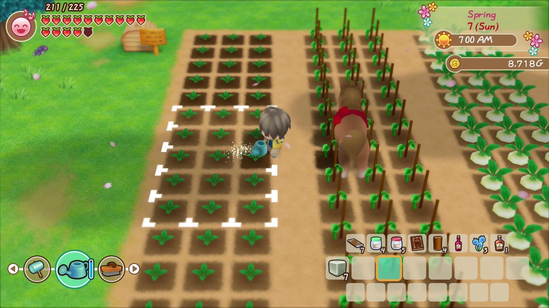 Story of seasons mineral best sale town release date switch