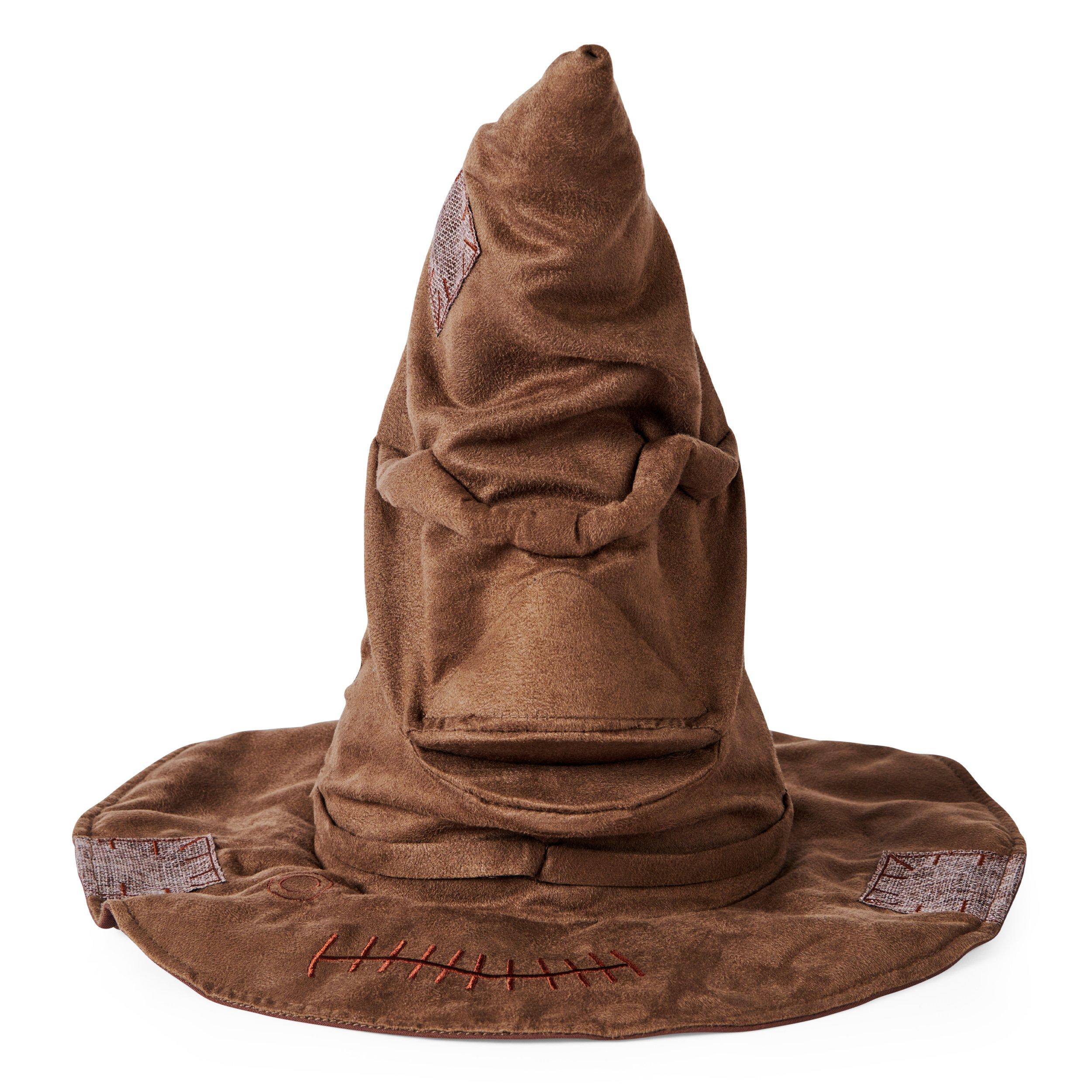 List 100+ Pictures harry potter sorting hat images Sharp