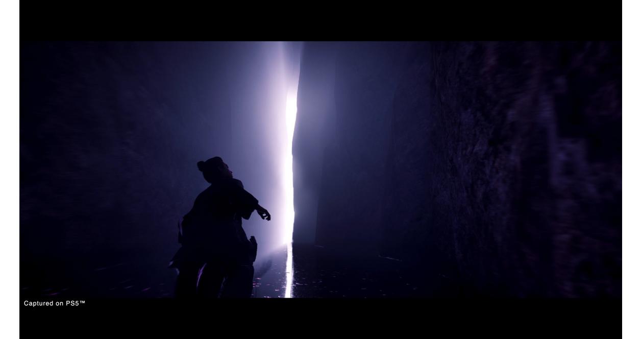 Ghost of Tsushima Director's Cut - PlayStation 5