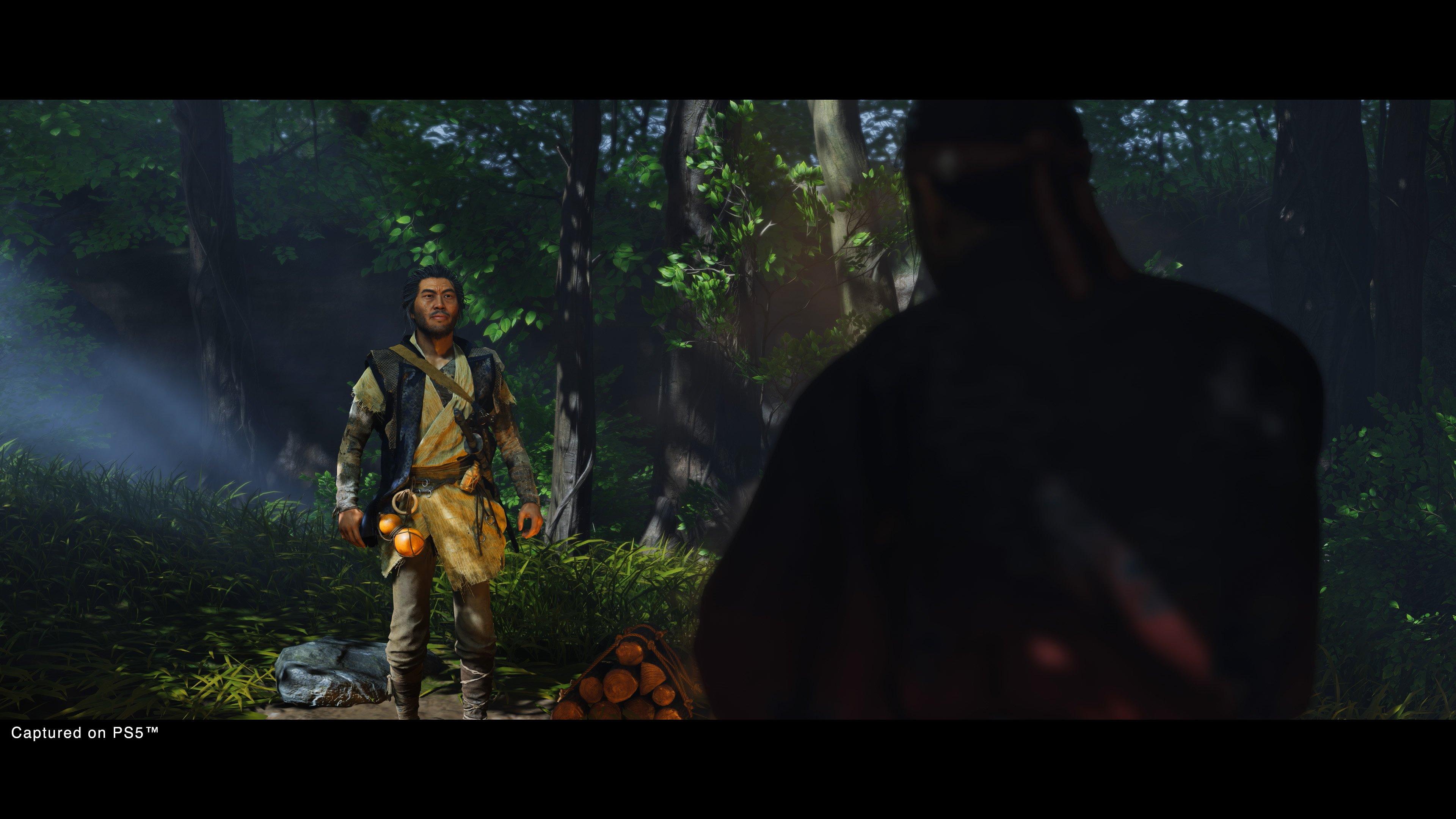 list item 19 of 38 Ghost of Tsushima Director's Cut - PlayStation 4