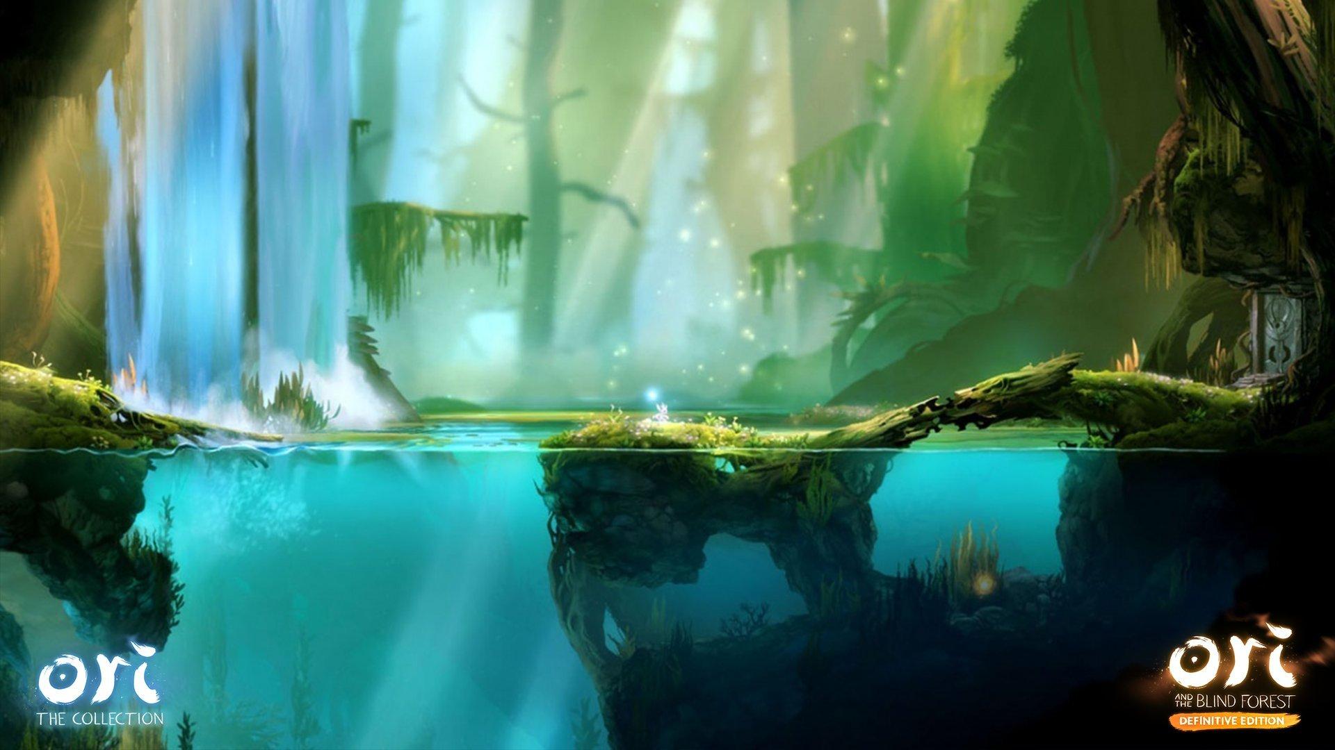 Ori and The Blind Forest (Nintendo Switch)